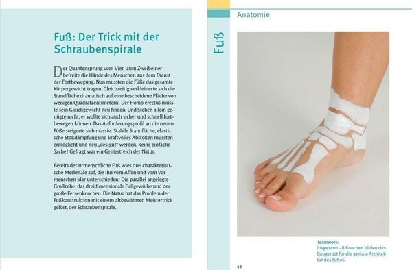 Produktbild: Gesunde F&uuml;&szlig;e