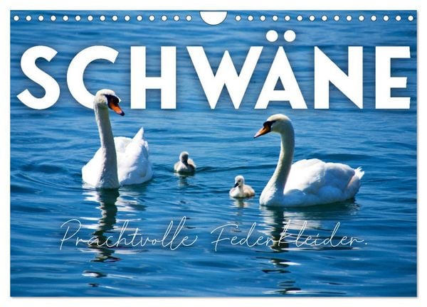 Produktbild: Schw&auml;ne - Prachtvolle Federkleider. (Wandkalender 2026 DIN A4 quer), CALVENDO Monatskalender