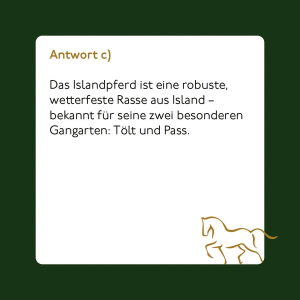Produktbild: Pferde und Reiten - Das Quiz