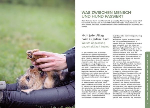Produktbild: Stress beim Hund verstehen