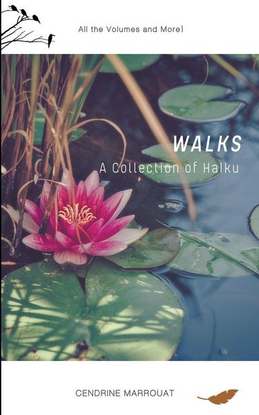 Produktbild: Walks