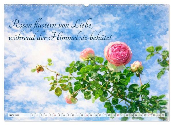 Produktbild: Rosentr&auml;ume im Aquarellstil (Wandkalender 2027 DIN A2 quer), CALVENDO Monatskalender