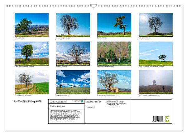 Produktbild: Solitude verdoyante (Calendrier mural 2026 DIN A2 vertical), CALVENDO calendrier mensuel