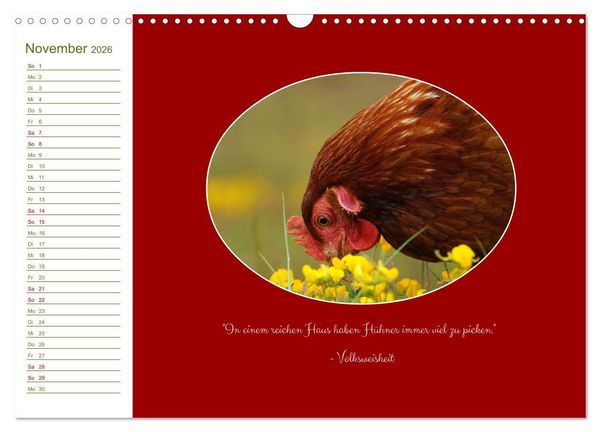 Produktbild: Freilaufende H&uuml;hner (Wandkalender 2026 DIN A3 quer), CALVENDO Monatskalender