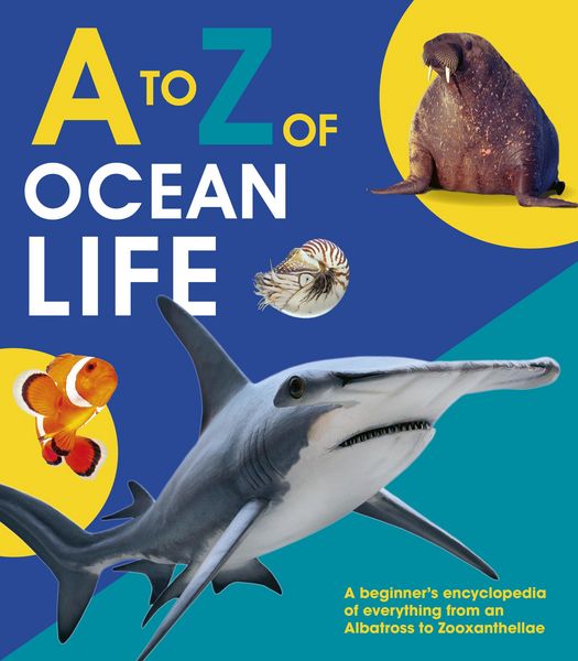 Produktbild: To Z of Ocean Life