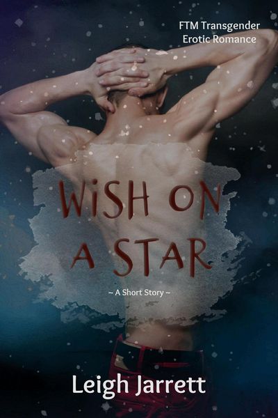 Produktbild: Wish On A Star: FTM Transgender Erotic Romance