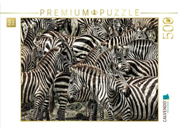 CALVENDO Puzzle Zebras....schwarz- weiss streifen | 500 Teile Lege-Größe 48 × 36 cm Foto-Puzzle für Erwachsene