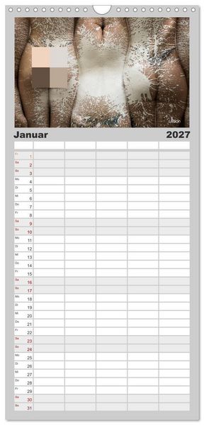 Produktbild: Familienplaner 2027 - FARBSPIELE - Akt im Feuerwerk der Farben mit 5 Spalten (Wandkalender, 21 x 45 cm) CALVENDO