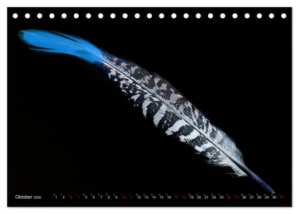 Produktbild: Federleichte Momente (Tischkalender 2026 DIN A5 quer), CALVENDO Monatskalender