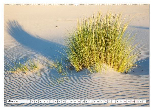 Produktbild: Amrum. Natur und Landschaften (Wandkalender 2027 DIN A2 quer), CALVENDO Monatskalender