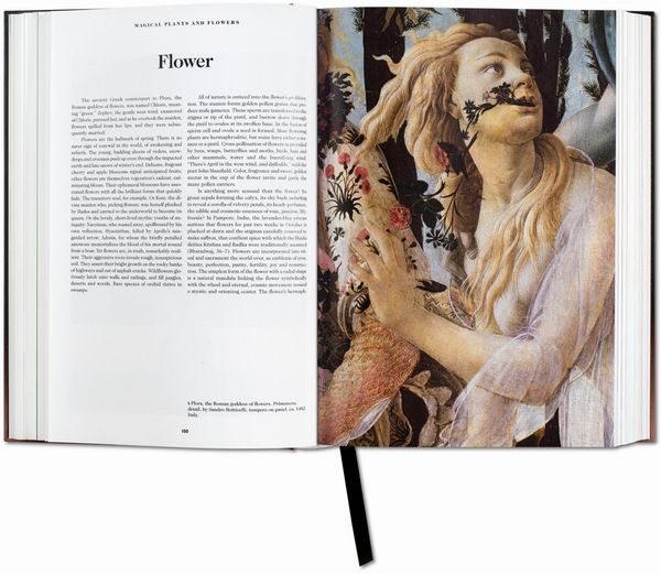 Produktbild: Das Buch der Symbole