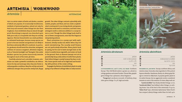 Produktbild: Perennials for the Northeast
