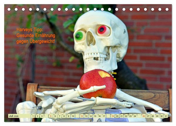 Produktbild: Harvey, der Heilpraktiker (Tischkalender 2026 DIN A5 quer), CALVENDO Monatskalender