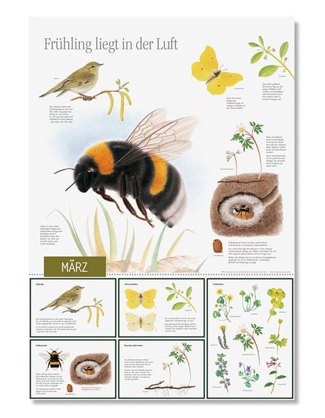 Produktbild: Natur erleben durch das Jahr - 3