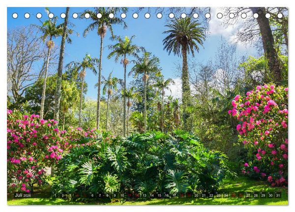 Produktbild: Terra Nostra Garten - ein botanisches Juwel auf den Azoren (Tischkalender 2026 DIN A5 quer), CALVENDO Monatskalender