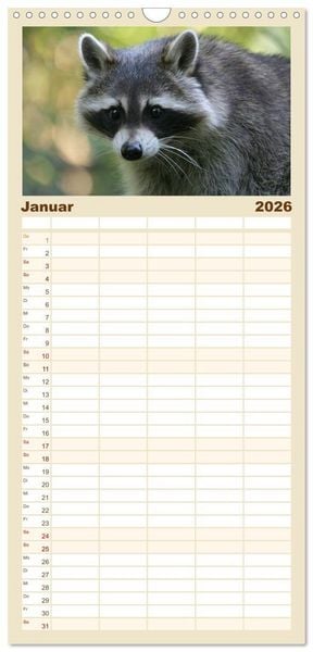 Produktbild: Familienplaner 2026 - Waschb&auml;ren mit 5 Spalten (Wandkalender, 21 x 45 cm) CALVENDO