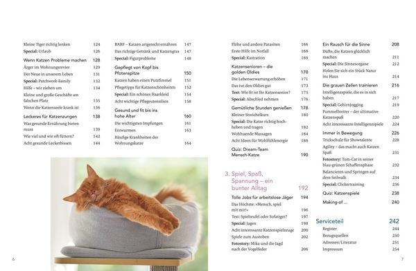 Produktbild: Das gro&szlig;e Wohnungskatzen-Wohlf&uuml;hl-Buch