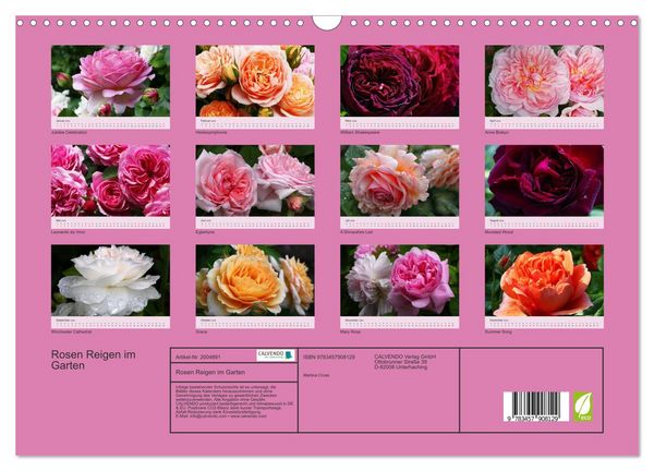 Produktbild: Rosen Reigen im Garten (Wandkalender 2026 DIN A3 quer), CALVENDO Monatskalender