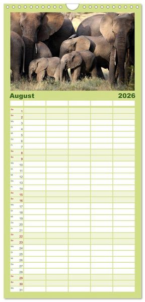 Produktbild: Familienplaner 2026 - Afrika - im Reich der Elefanten mit 5 Spalten (Wandkalender, 21 x 45 cm) CALVENDO