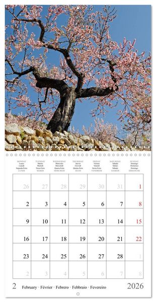 Produktbild: Costa Blanca Spain&acute;s Sun-Kissed South (Wall Calendar 2026 12 &times; 12 Inch) CALVENDO 12 Month Wall Calendar