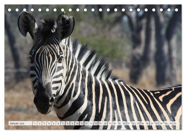 Produktbild: Sambia - ein gro&szlig;artiges Land (Tischkalender 2026 DIN A5 quer), CALVENDO Monatskalender