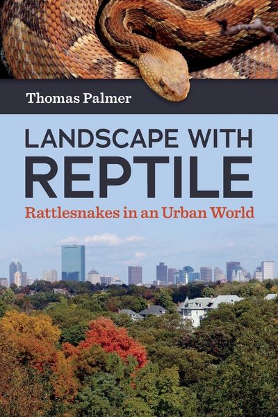 Produktbild: Landscape with Reptile