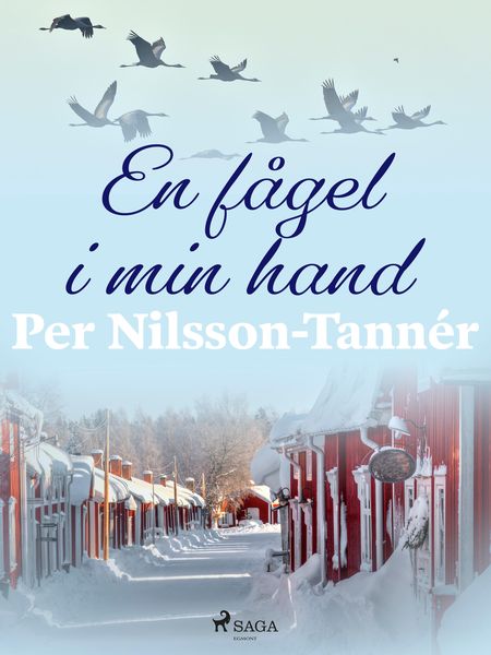 Produktbild: En f&aring;gel i min hand