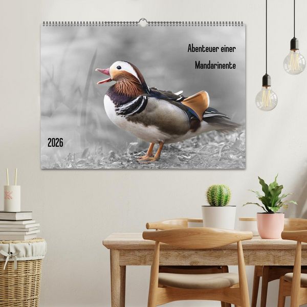 Produktbild: Abenteuer einer Mandarinente (Wandkalender 2026 DIN A2 quer), CALVENDO Monatskalender