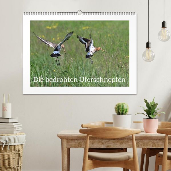 Produktbild: Die bedrohten Uferschnepfen (Wandkalender 2026 DIN A2 quer), CALVENDO Monatskalender