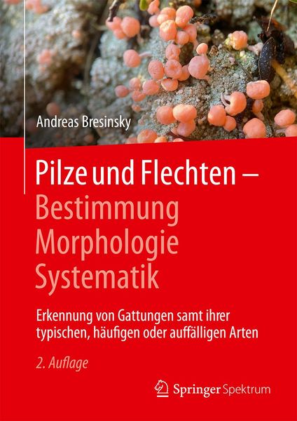 Produktbild: Pilze und Flechten &ndash; Bestimmung, Morphologie, Systematik