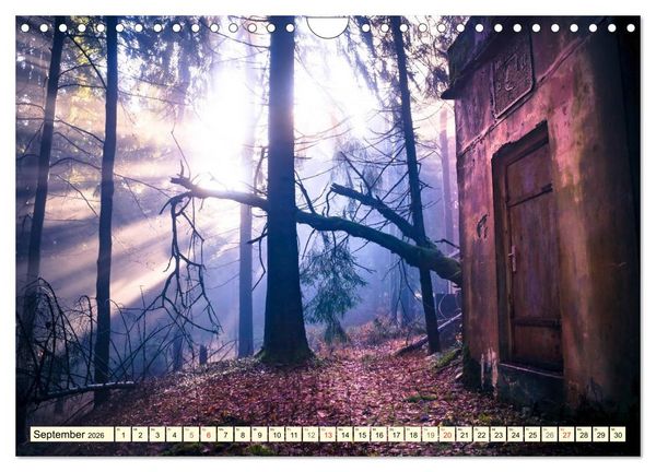 Produktbild: Mystische W&auml;lder - Zauber der Natur (Wandkalender 2026 DIN A4 quer), CALVENDO Monatskalender