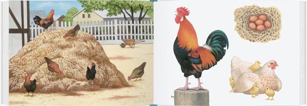 Produktbild: Tiere auf dem Bauernhof