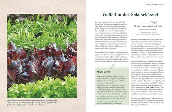 Produktbild: Alte Gem&uuml;sepflanzen wiederentdeckt