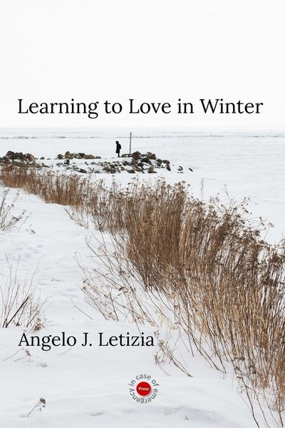Produktbild: Learning to Love in Winter
