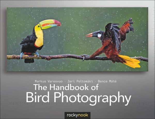 Produktbild: The Handbook of Bird Photography