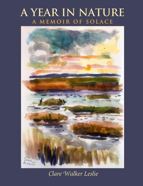 Produktbild: A Year in Nature: A Memoir of Solace