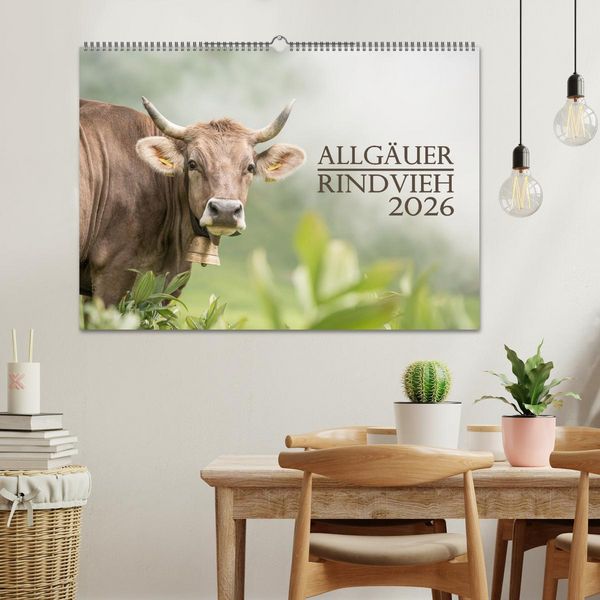 Produktbild: Allg&auml;uer Rindvieh 2026 (Wandkalender 2026 DIN A2 quer), CALVENDO Monatskalender