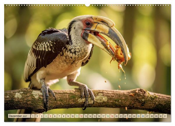 Produktbild: Nashornv&ouml;gel (hochwertiger Premium Wandkalender 2027 DIN A2 quer), Kunstdruck in Hochglanz