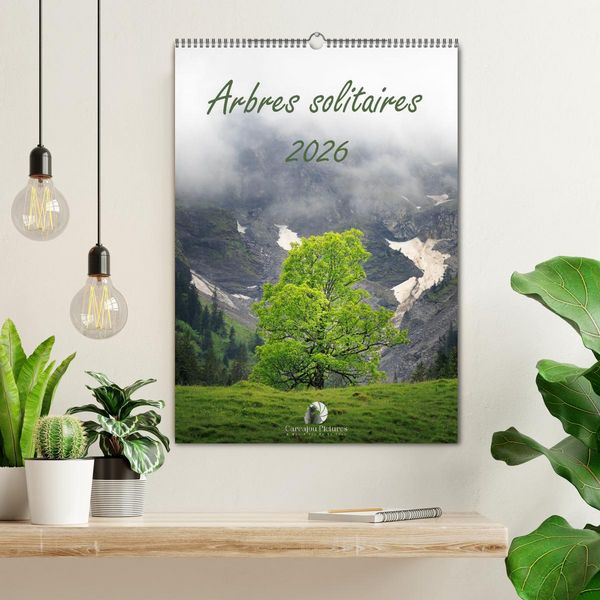 Produktbild: Arbres solitaires (Calendrier mural 2026 DIN A2 horizontal), CALVENDO calendrier mensuel