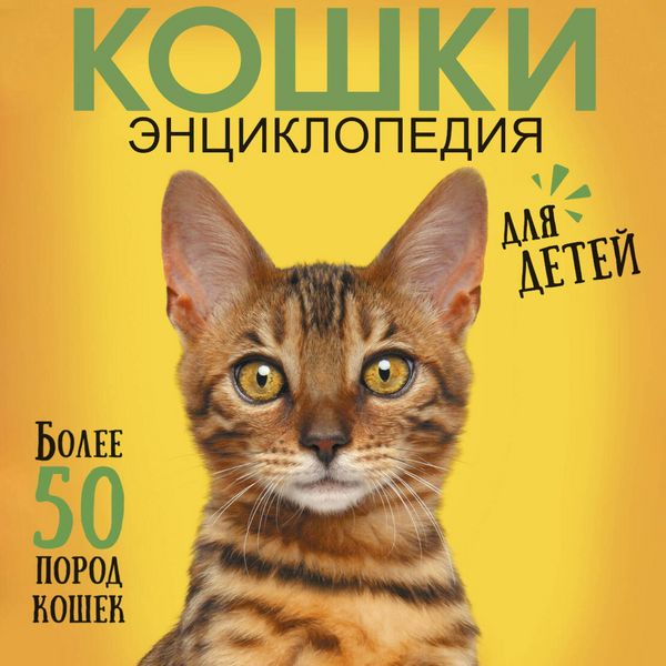 Produktbild: Koshki