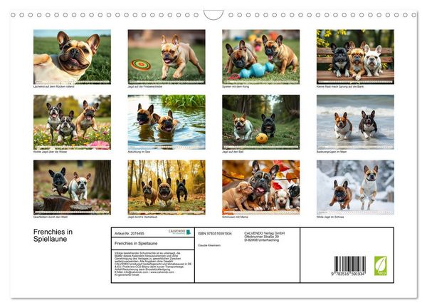 Produktbild: Frenchies in Spiellaune (Wandkalender 2026 DIN A3 quer), CALVENDO Monatskalender