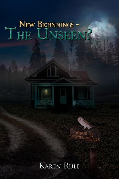 Produktbild: New Beginnings - The Unseen?