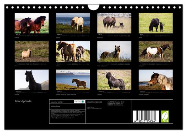 Produktbild: Islandpferde (Wandkalender 2026 DIN A4 quer), CALVENDO Monatskalender