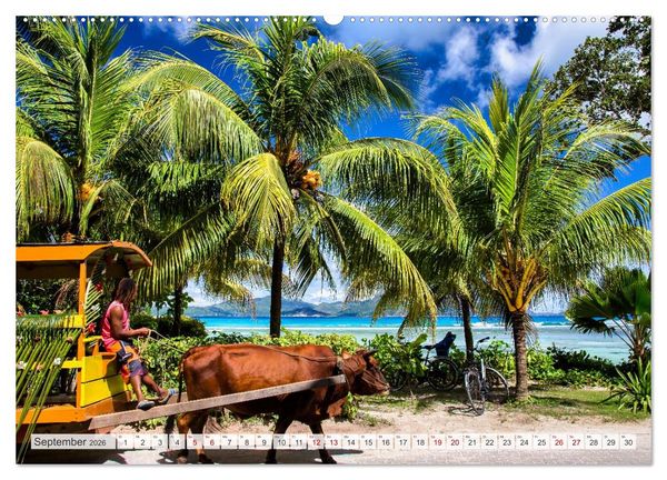 Produktbild: Die Seychellen - ganz nah am Paradies (Wandkalender 2026 DIN A2 quer), CALVENDO Monatskalender
