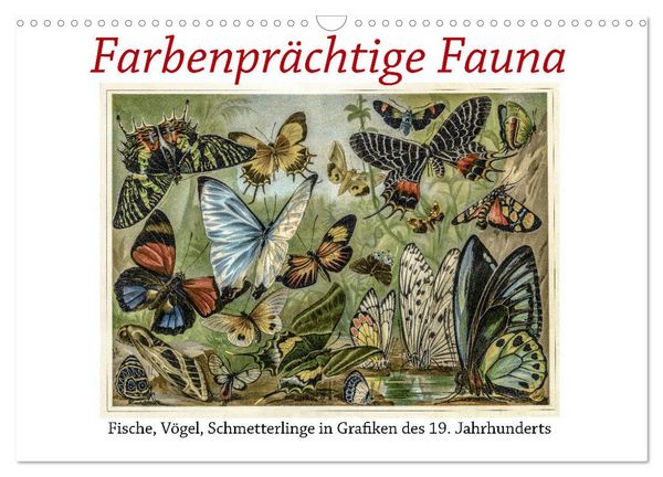 Produktbild: Farbenpr&auml;chtige Fauna. Fische, V&ouml;gel, Schmetterlinge in Grafiken des 19 Jahrhunderts (Wandkalender 2026 DIN A3 quer), CALVENDO Monatskalender
