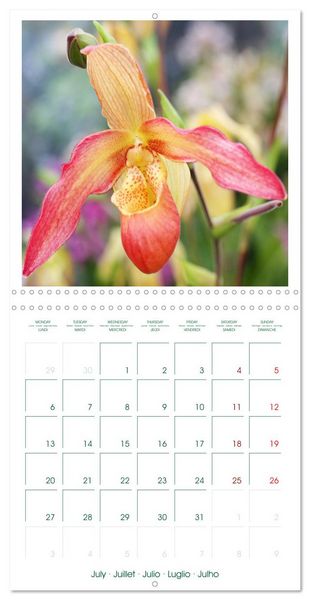 Produktbild: Orchid&eacute;es fantastiques (Calendrier mural carr&eacute; 2026 30x30 cm) Calendrier double avec une page pour vos prises de notes