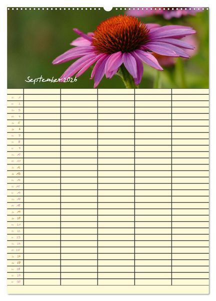 Produktbild: Kleine Natursch&ouml;nheiten (hochwertiger Premium Wandkalender 2026 DIN A2 hoch), Kunstdruck in Hochglanz