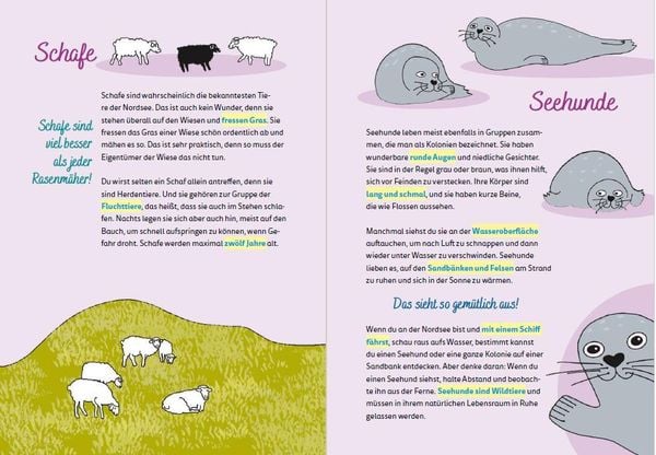 Produktbild: Nordsee for kids