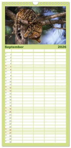 Produktbild: Familienplaner 2026 - Bengalen Outdoor und Action mit 5 Spalten (Wandkalender, 21 x 45 cm) CALVENDO