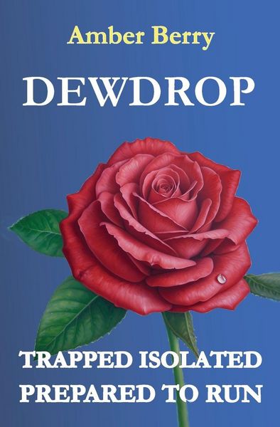 Produktbild: Dewrop